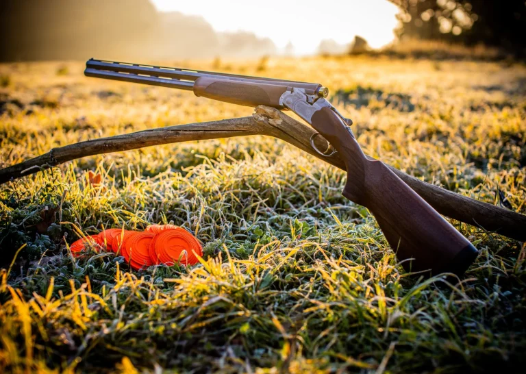 Pigeon clay shotgun