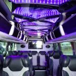 party bus